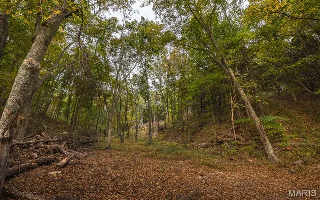 $5,999,999 | 1224 County Road 3165, Salem, MO 65560