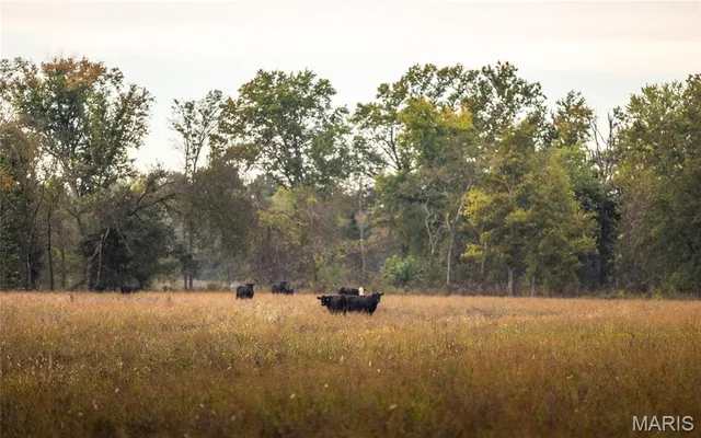 $5,999,999 | 1224 County Road 3165, Salem, MO 65560