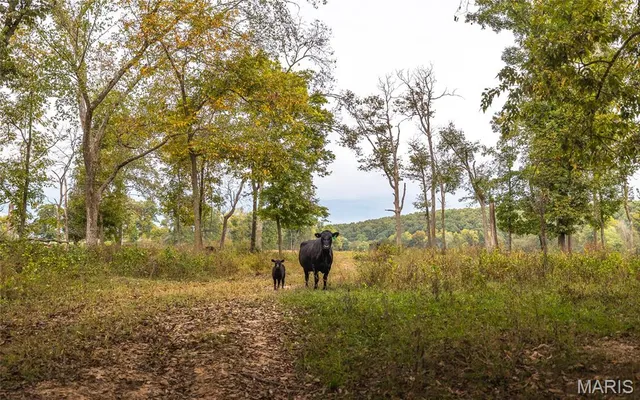 $5,999,999 | 1224 County Road 3165, Salem, MO 65560