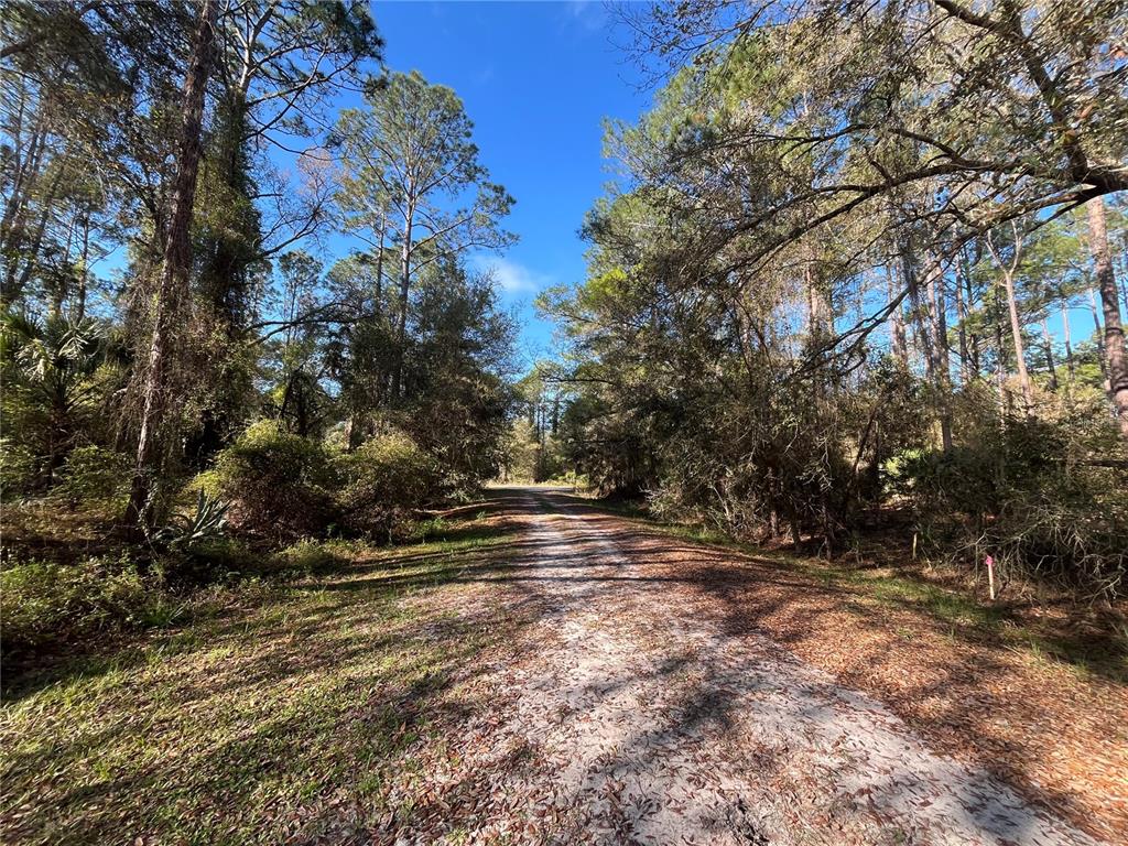 104 5th Street Georgetown, FL 32139 - Photo 2 of 6