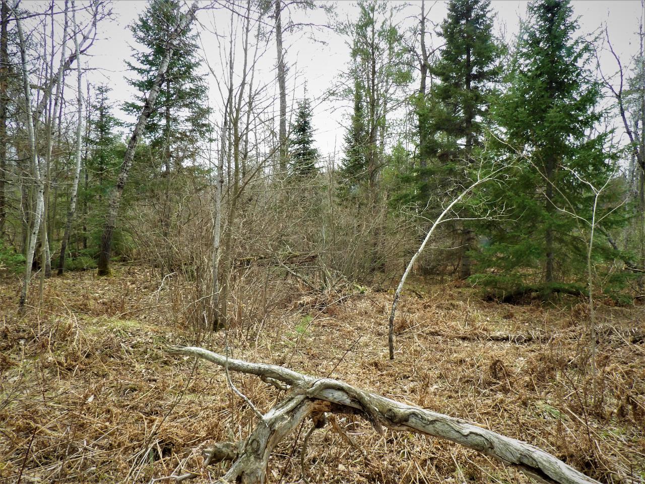 3.93-a Hay Meadow Road Rhinelander, WI 54501 - Photo 7 of 21 Gallery Image 7