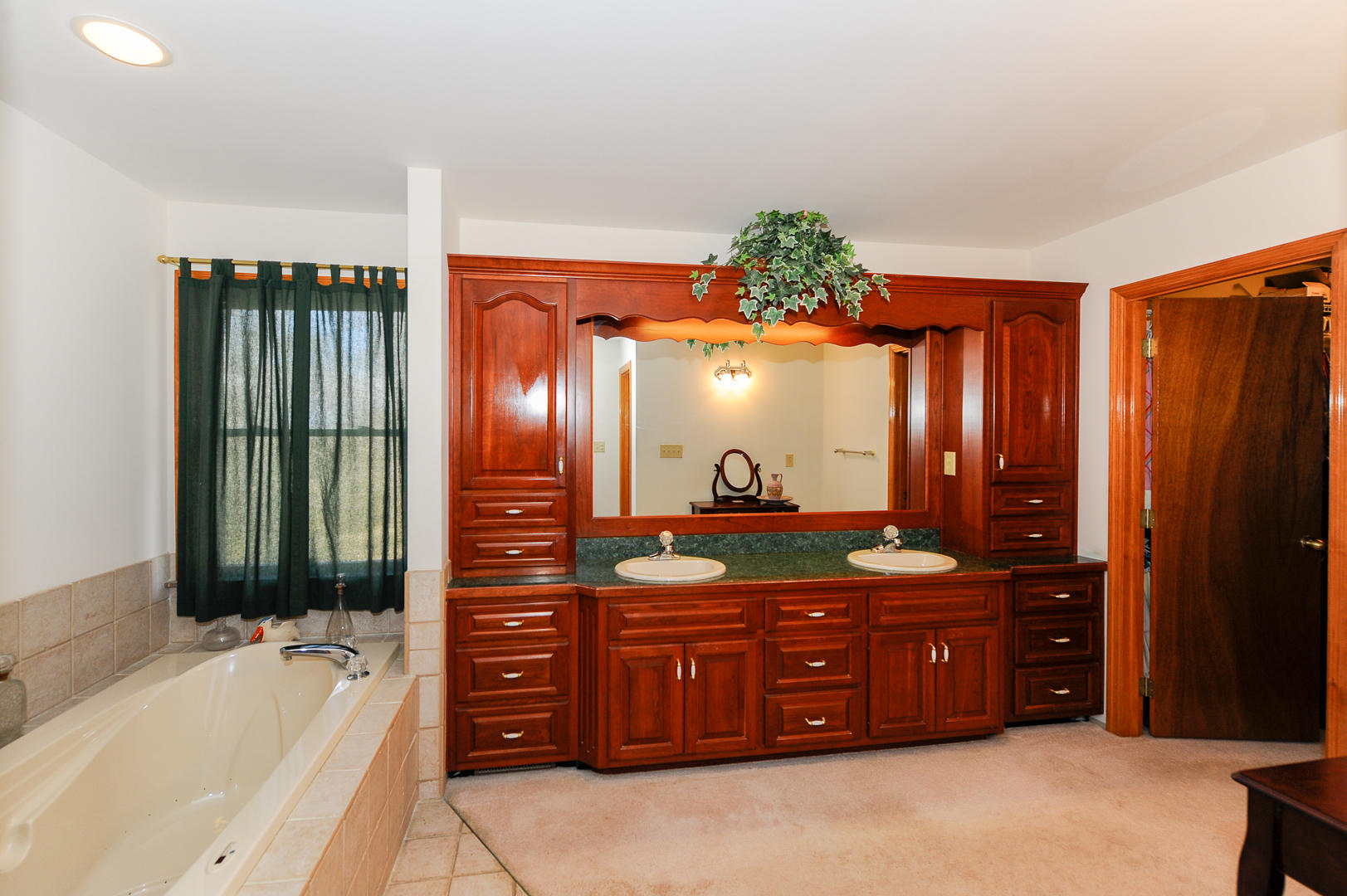 1701 Walker Road Friendsville, TN 37737 - Photo 8 of 30 Master Bath w/double vanity,tub, shower