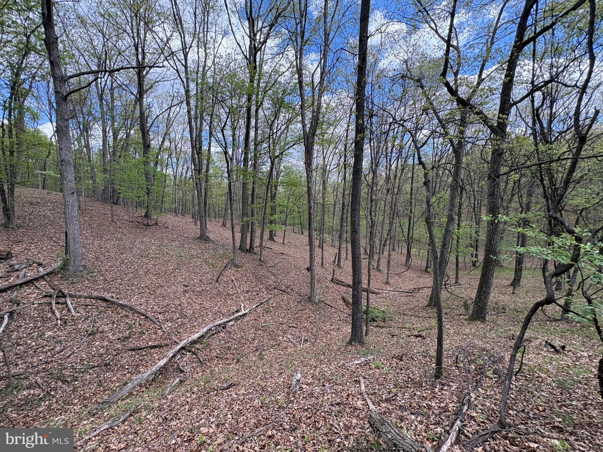 15.02-ac Beam Road Romney, WV 26757 - Photo 19 of 31 Gallery Image 19