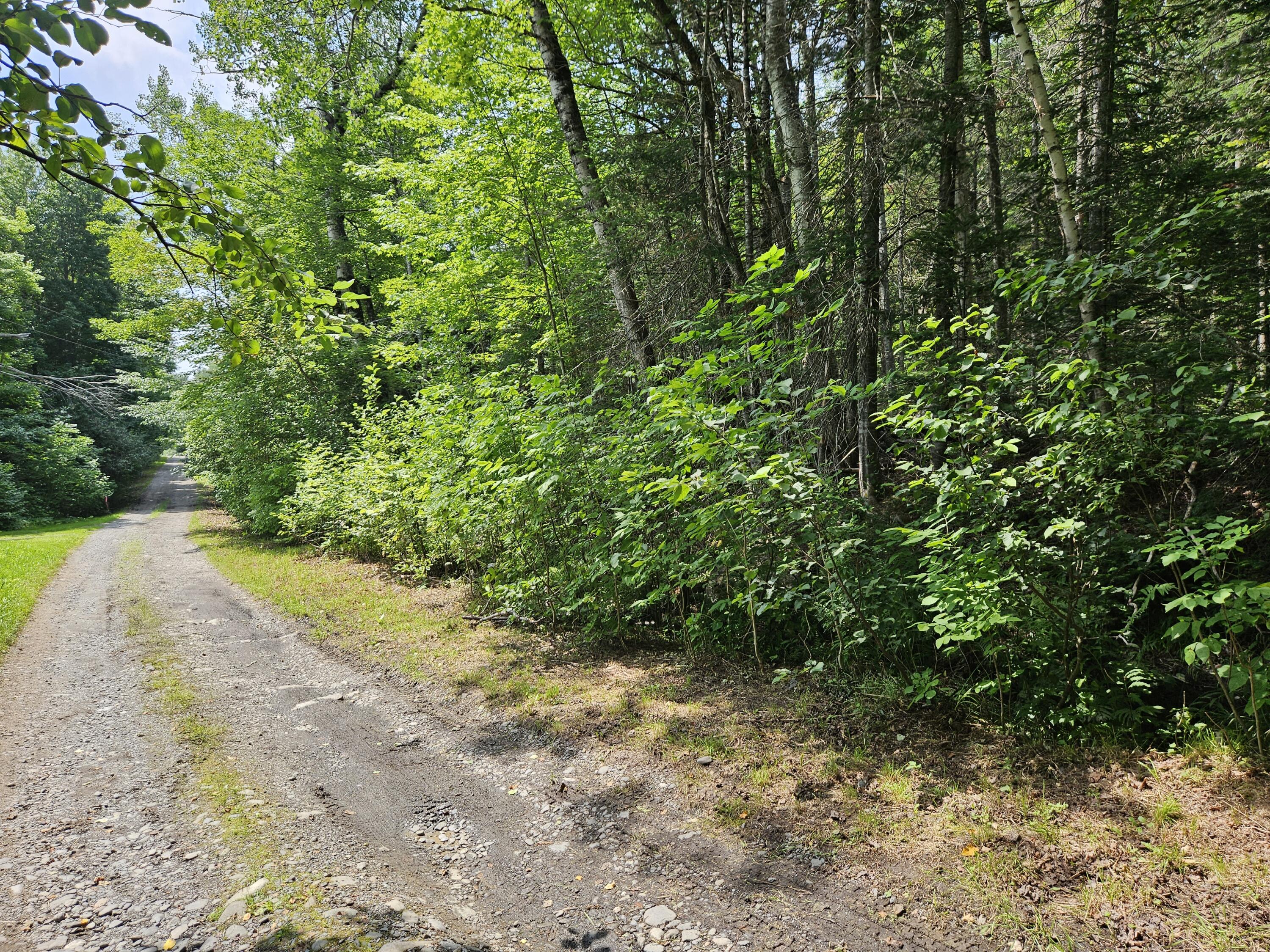 34 N Road Shirley Mills, ME 04485 - Photo 42 of 47 Road frontage passed house