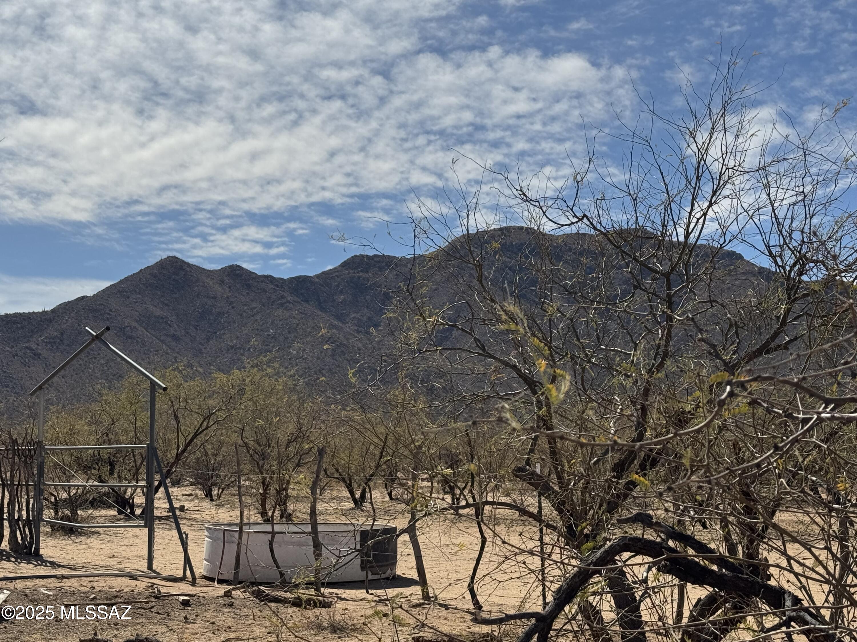 12440 South Coleman Road Tucson, AZ 85735 - Photo 26 of 45 a view of a backyard