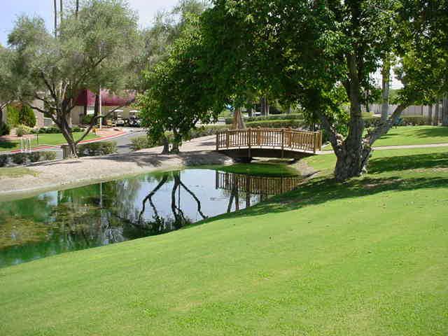 7910 East Camelback Road, Unit 204 Scottsdale, AZ 85251 - Photo 4 of 6 a view of a garden with plants