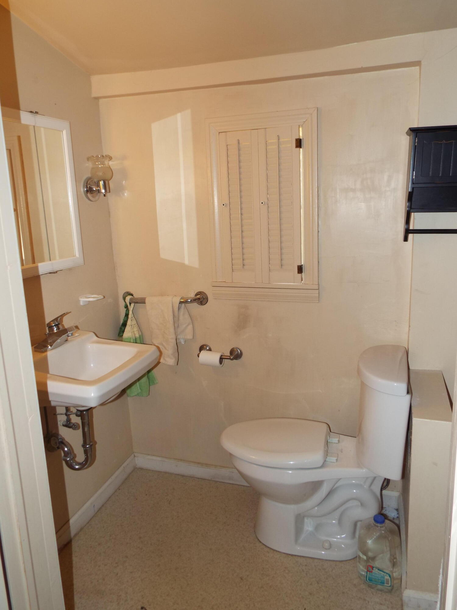 9024 Sayers Road Munith, MI 49259 - Photo 11 of 36 DSCF2075