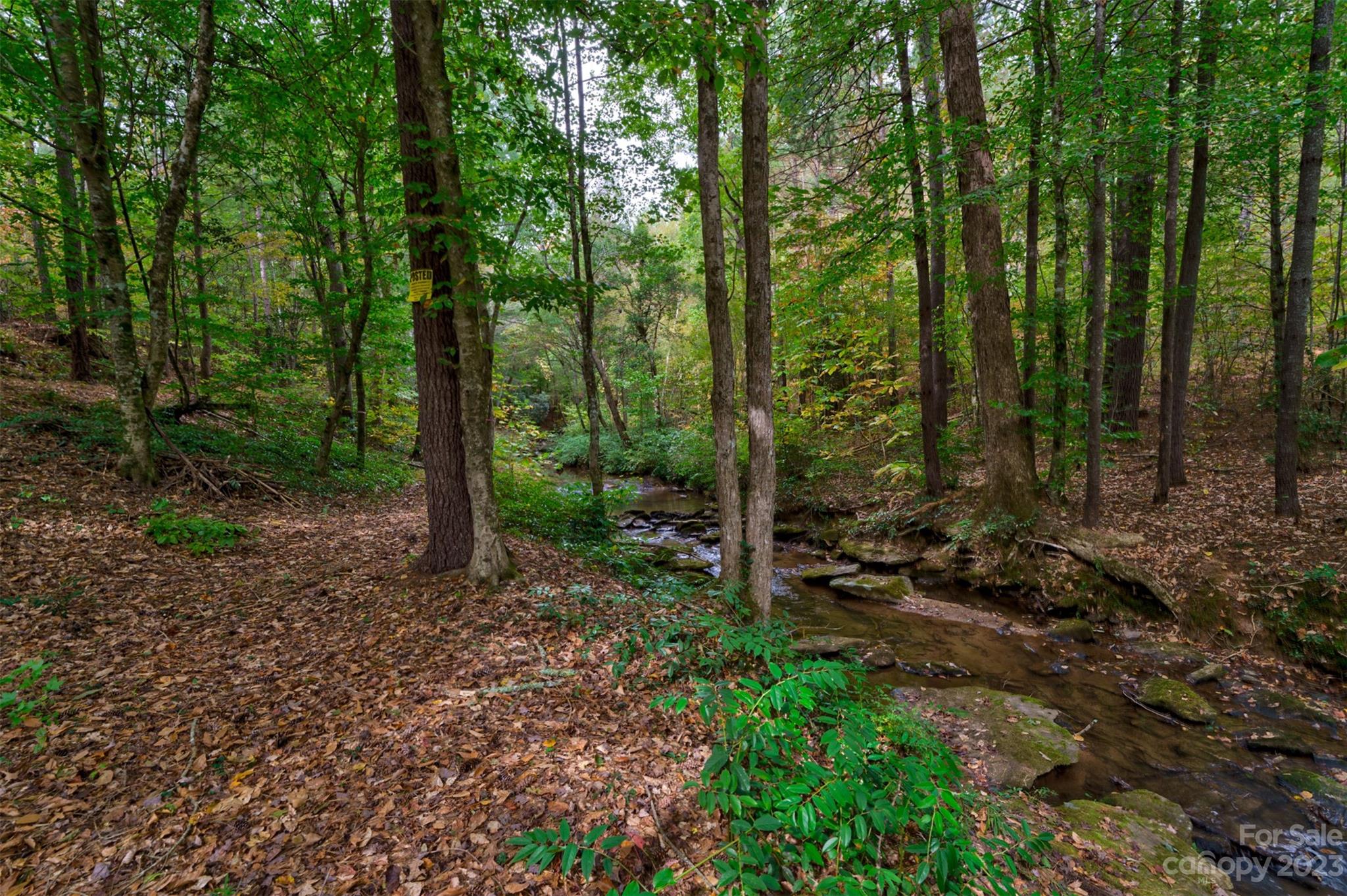 1194 Antioch Road, Unit 10 Morganton, NC 28655 - Photo 8 of 26 Gallery Image 8