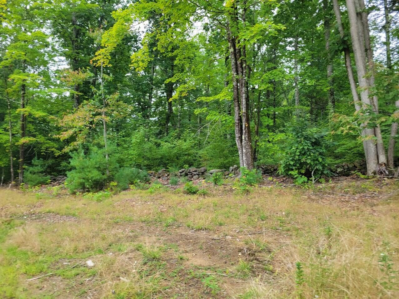 0 Heath Road Lebanon, ME 04027 - Photo 8 of 19 20220907_113415