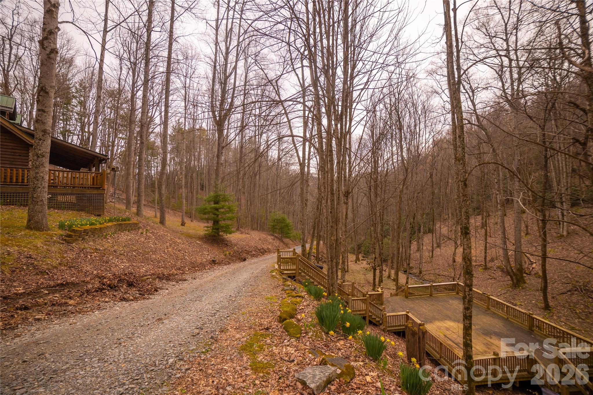 682 Rock House Road Hot Springs, NC 28743 - Photo 37 of 43 a backyard of a house with a large tree