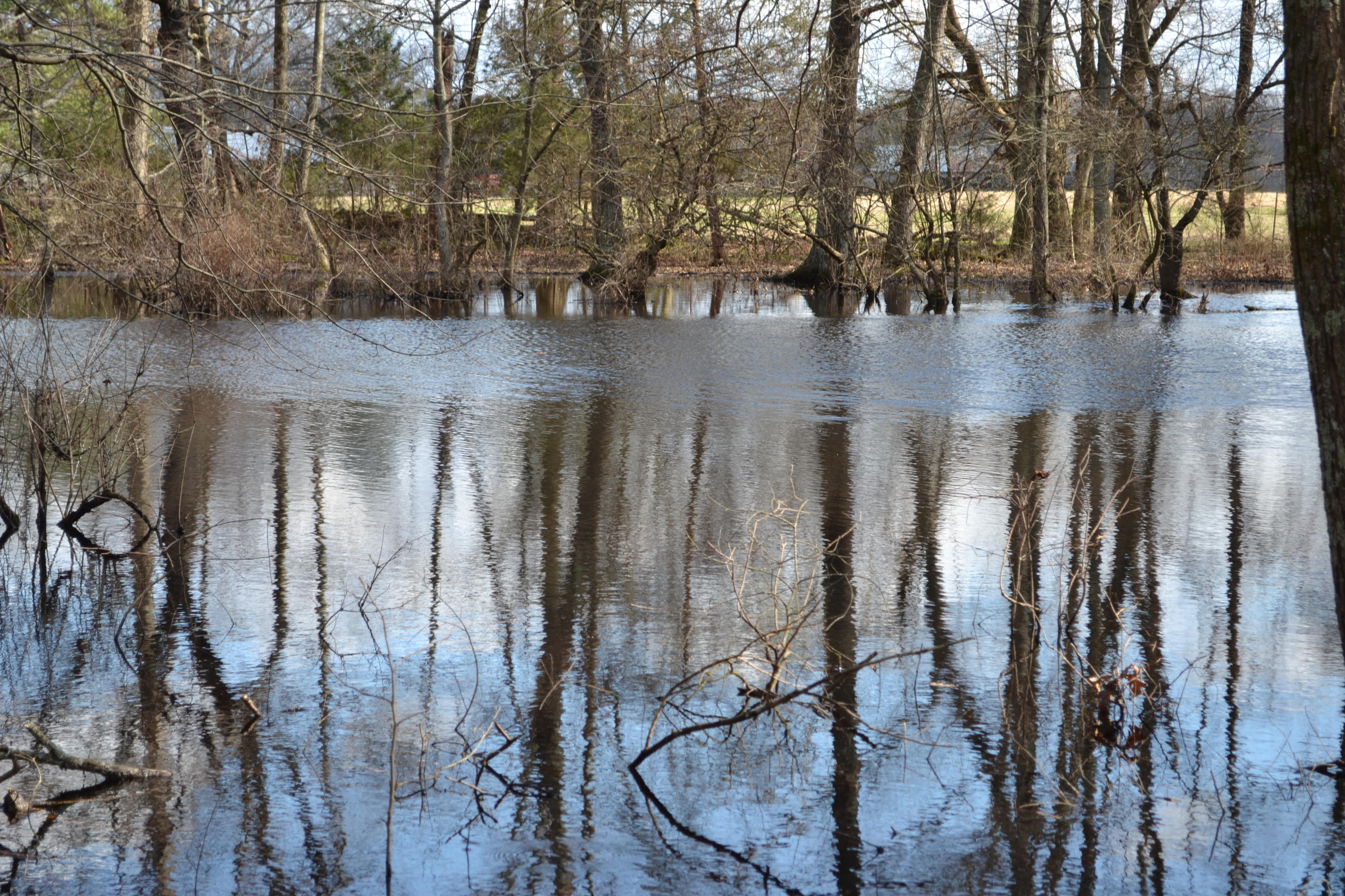 733 Clark Road Winchester, TN 37398 - Photo 45 of 61 DSC_0338