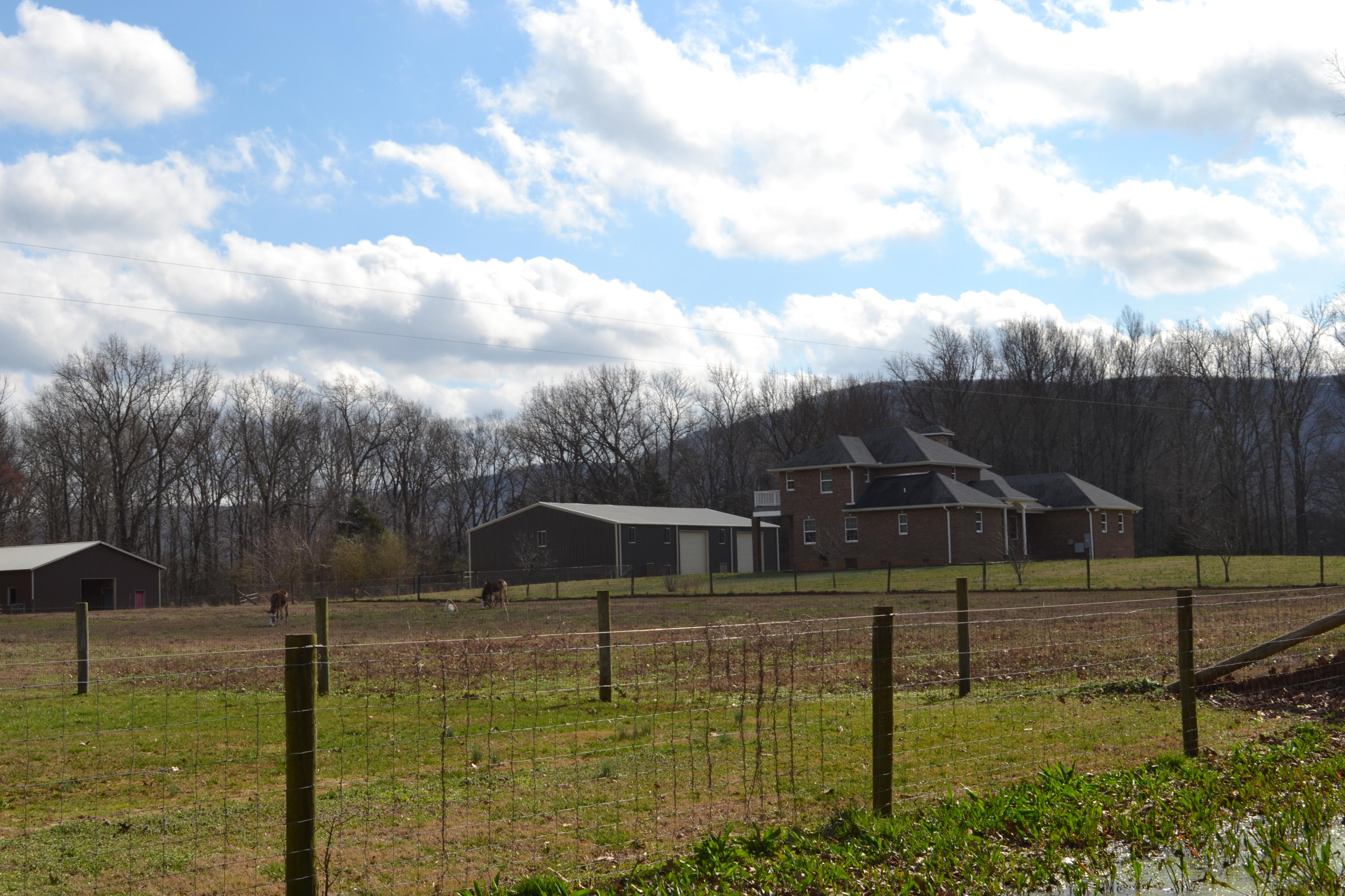 733 Clark Road Winchester, TN 37398 - Photo 46 of 61 DSC_0366