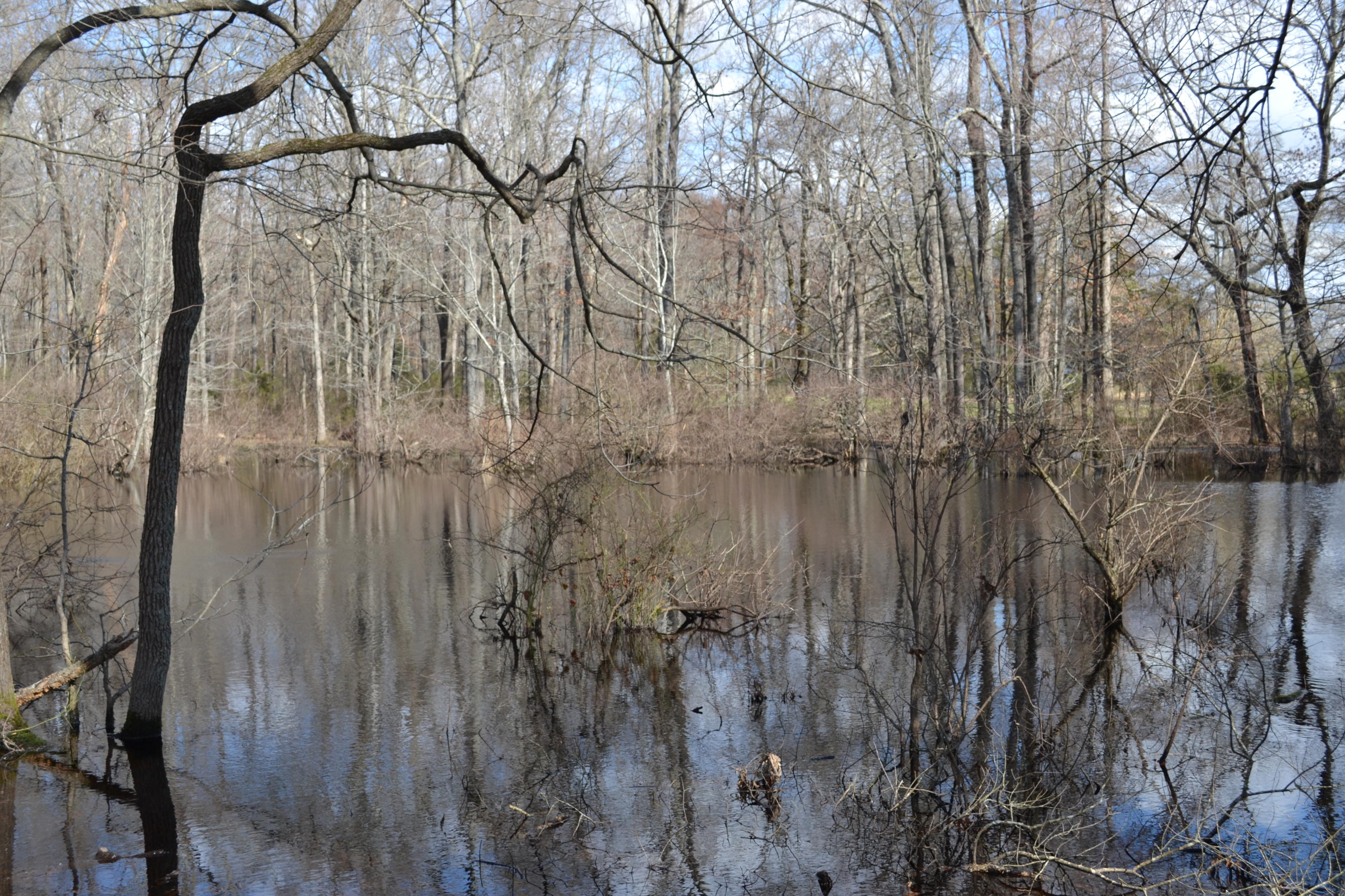 733 Clark Road Winchester, TN 37398 - Photo 49 of 61 DSC_0332