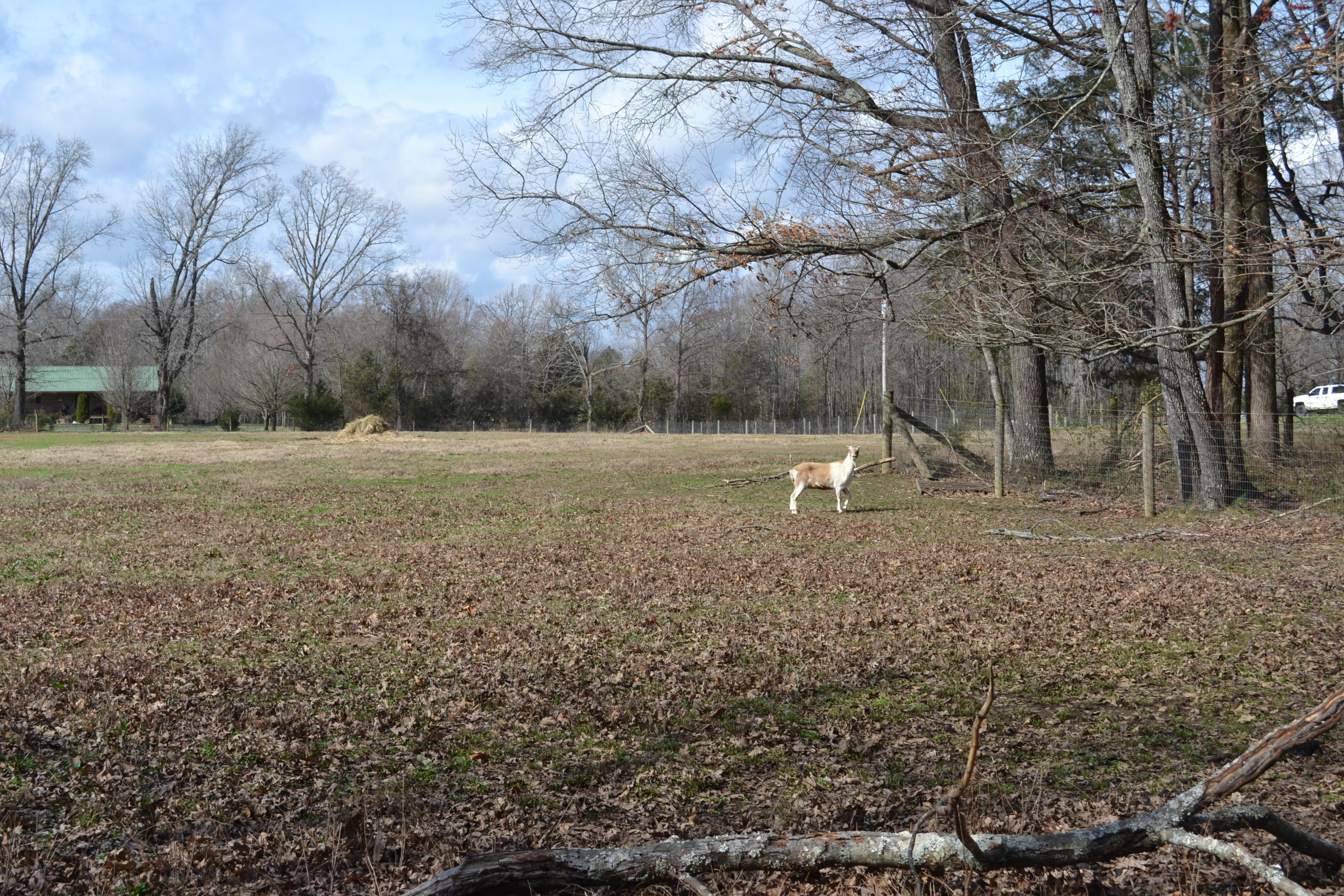 733 Clark Road Winchester, TN 37398 - Photo 50 of 61 DSC_0339