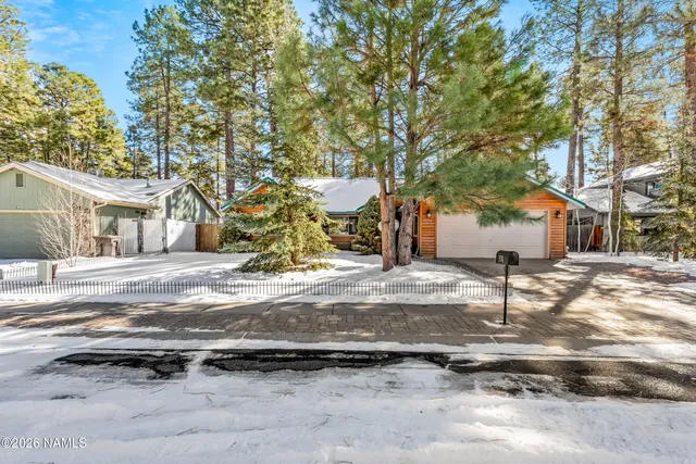 a view of road with large trees