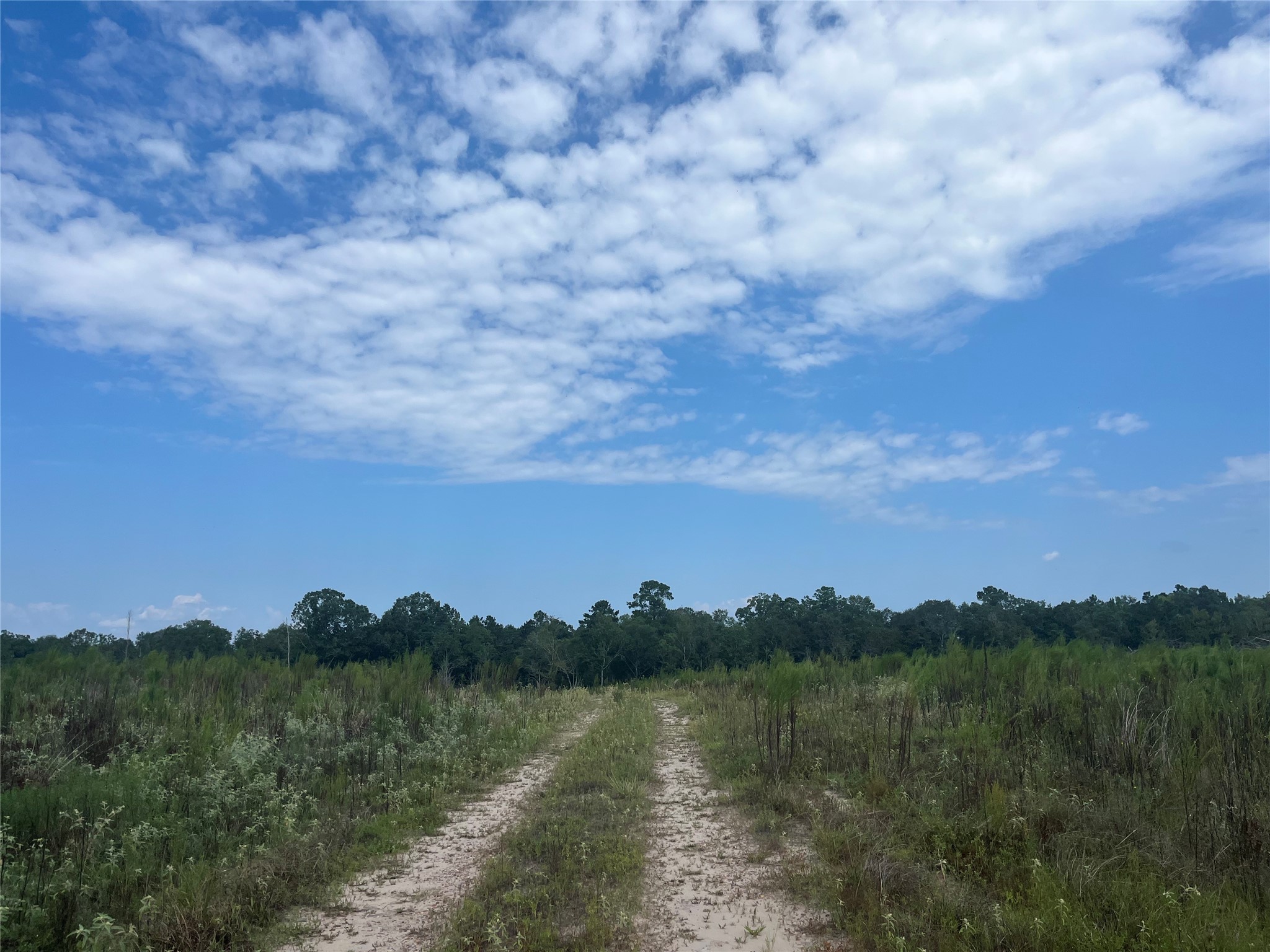 0 9 Bridge Road Corrigan, TX 75939 - Photo 20 of 22 Access Easement into the property.