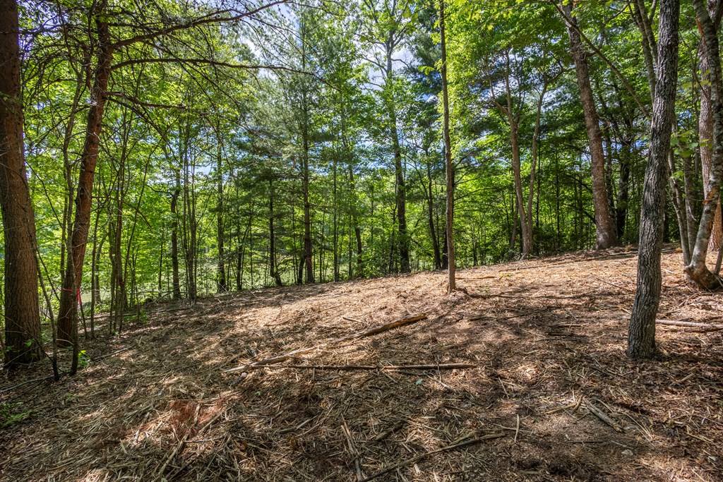 4.2-acre Donley Road Murphy, NC 28906 - Photo 15 of 32 a view of a yard with trees