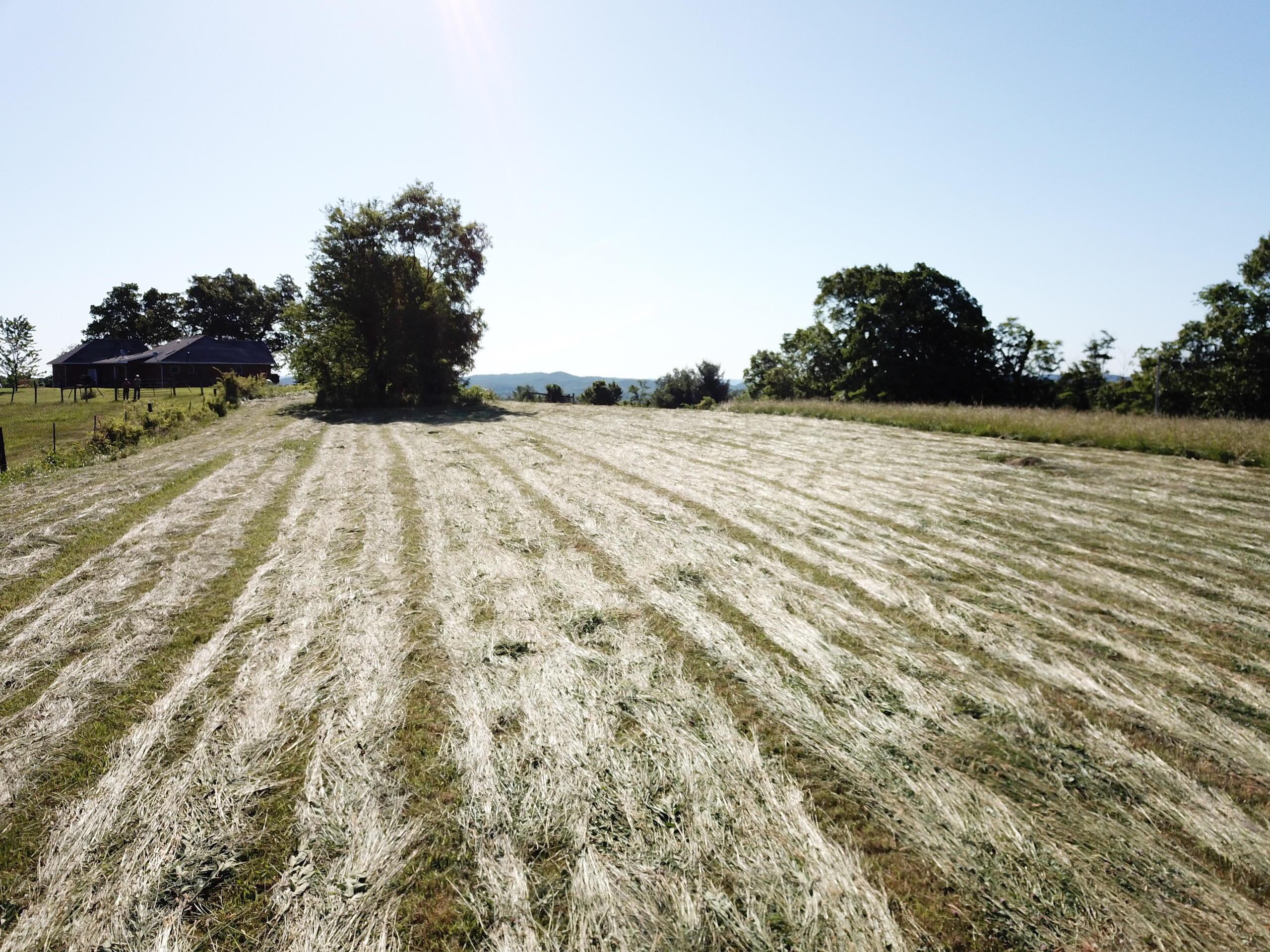2759 Bear Creek Rarden Road Otway, OH 45657 - Photo 24 of 38 Gallery Image 24