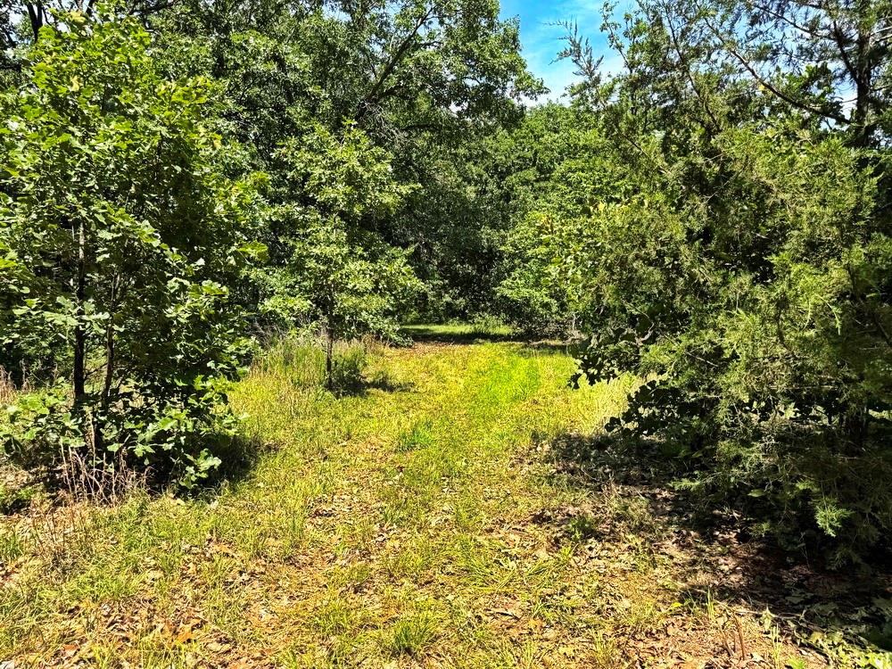 Tbd3 East 1550 Road Jerico Springs, MO 64756 - Photo 29 of 42