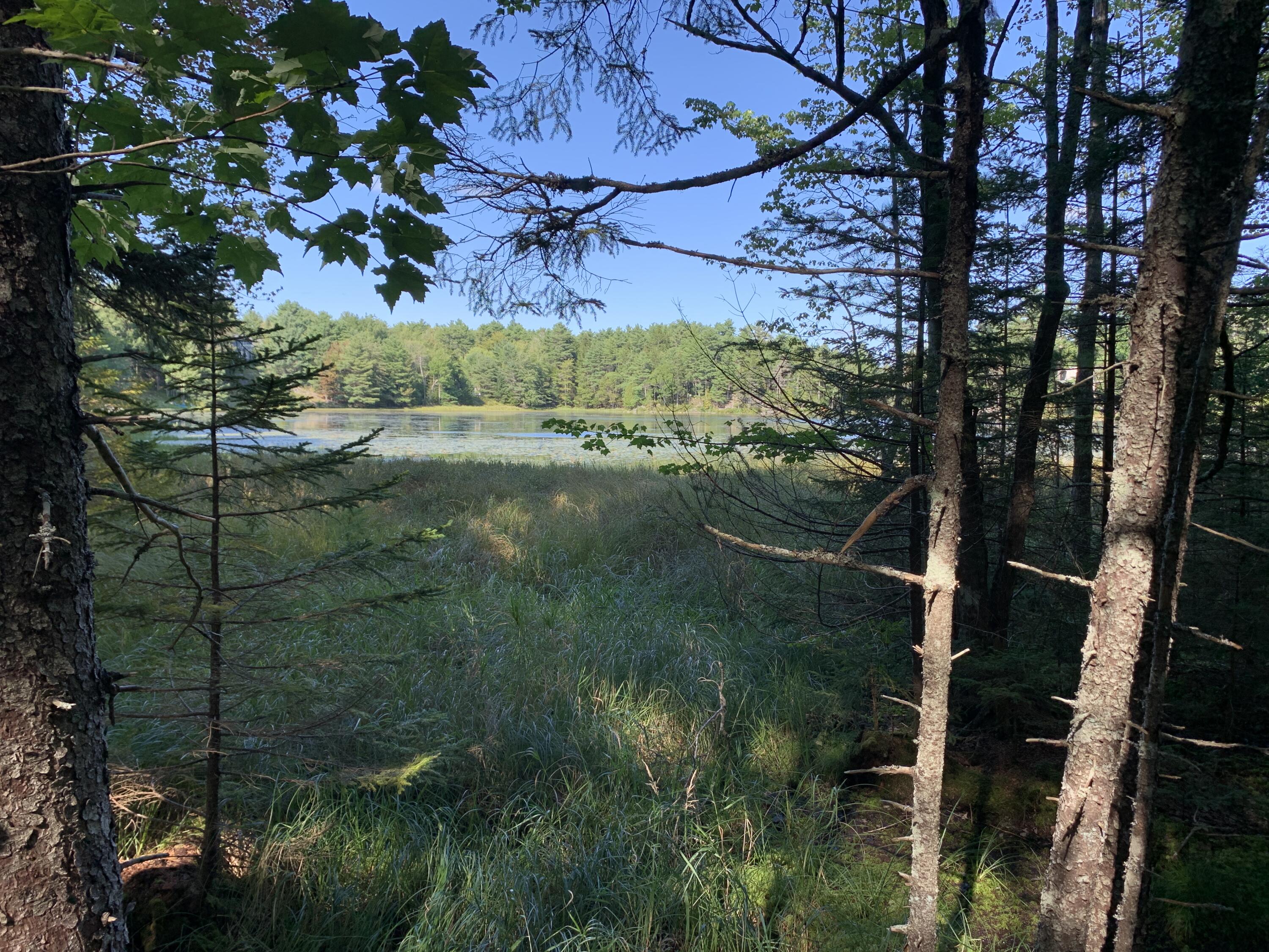 Lot B Lakeside Road Mount Desert, ME 04660 - Photo 29 of 32 IMG_6286