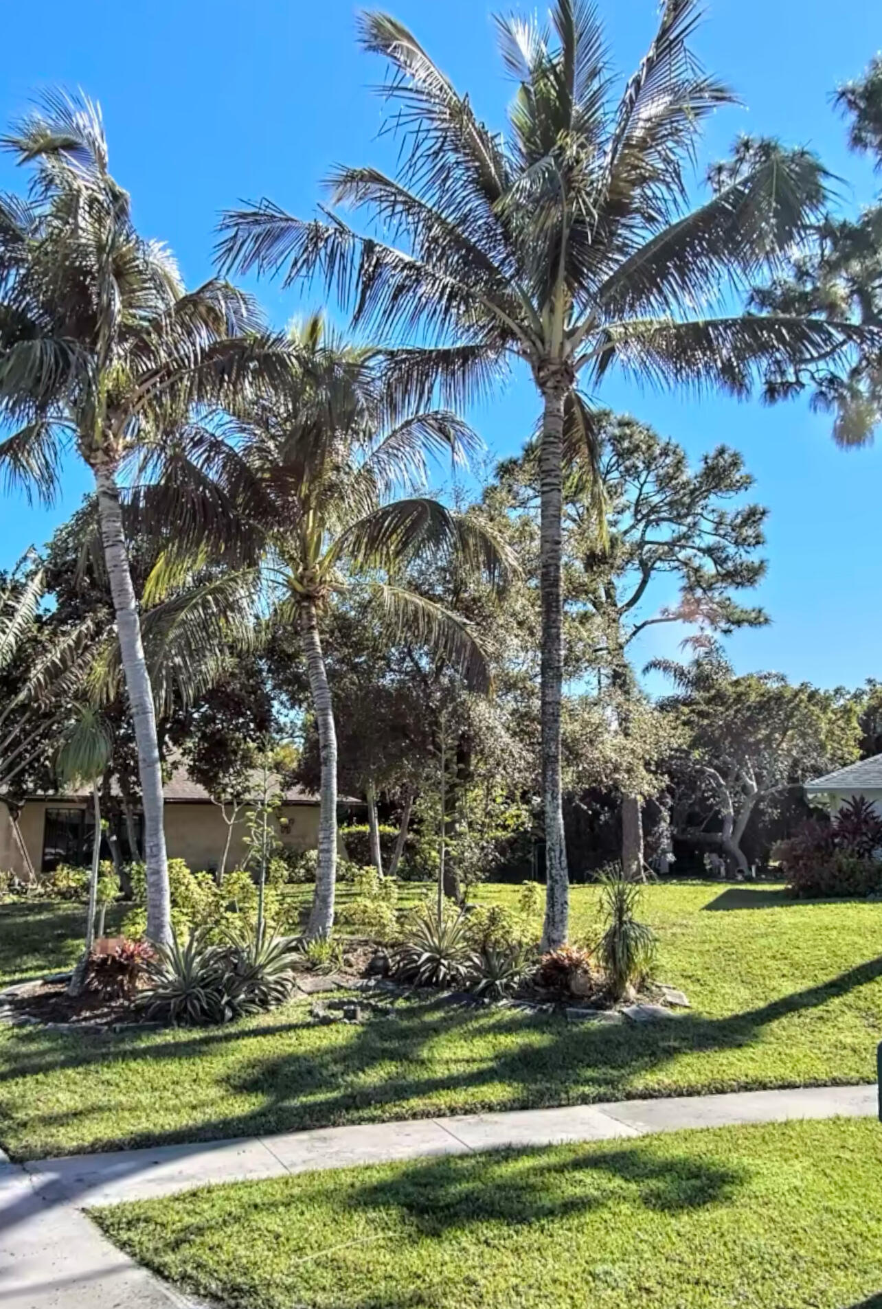 4262 Mediterranean Road Lake Worth, FL 33461 - Photo 3 of 23 IMG_7016