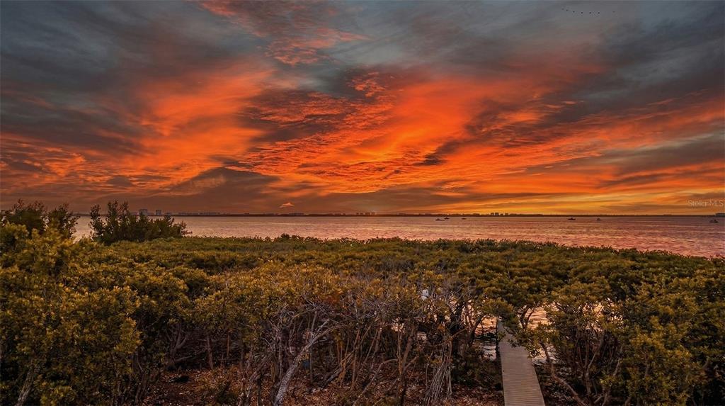 5422 Sandhamn Place Longboat Key, FL 34228 - Photo 54 of 97