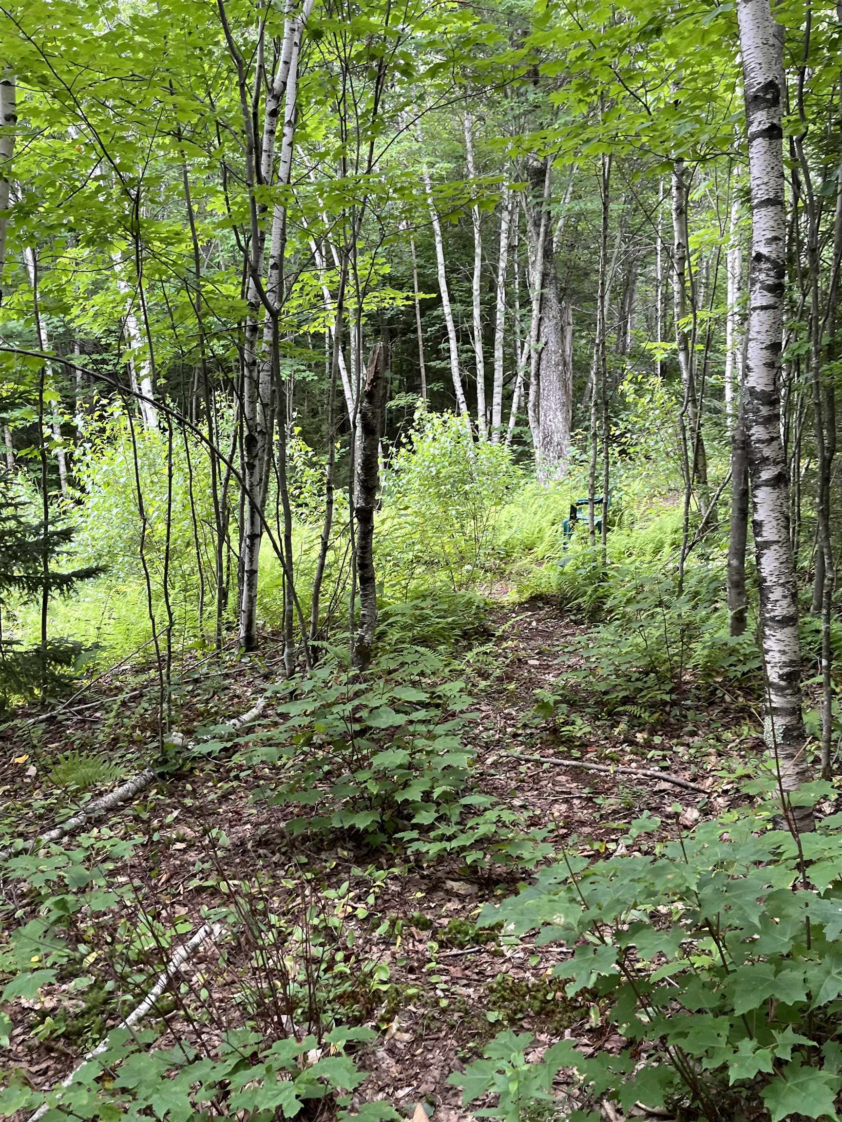 0 Hathaway Road Brandon, VT 05733 - Photo 9 of 25