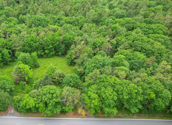 $55,000 | 0 Front Ridge Road, Orland, ME 04472