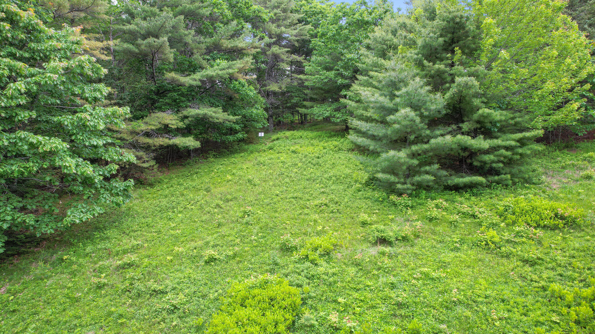 0 Front Ridge Road Orland, ME 04472 - Photo 11 of 18 00 Front Ridge Road, Orland, ME 04472