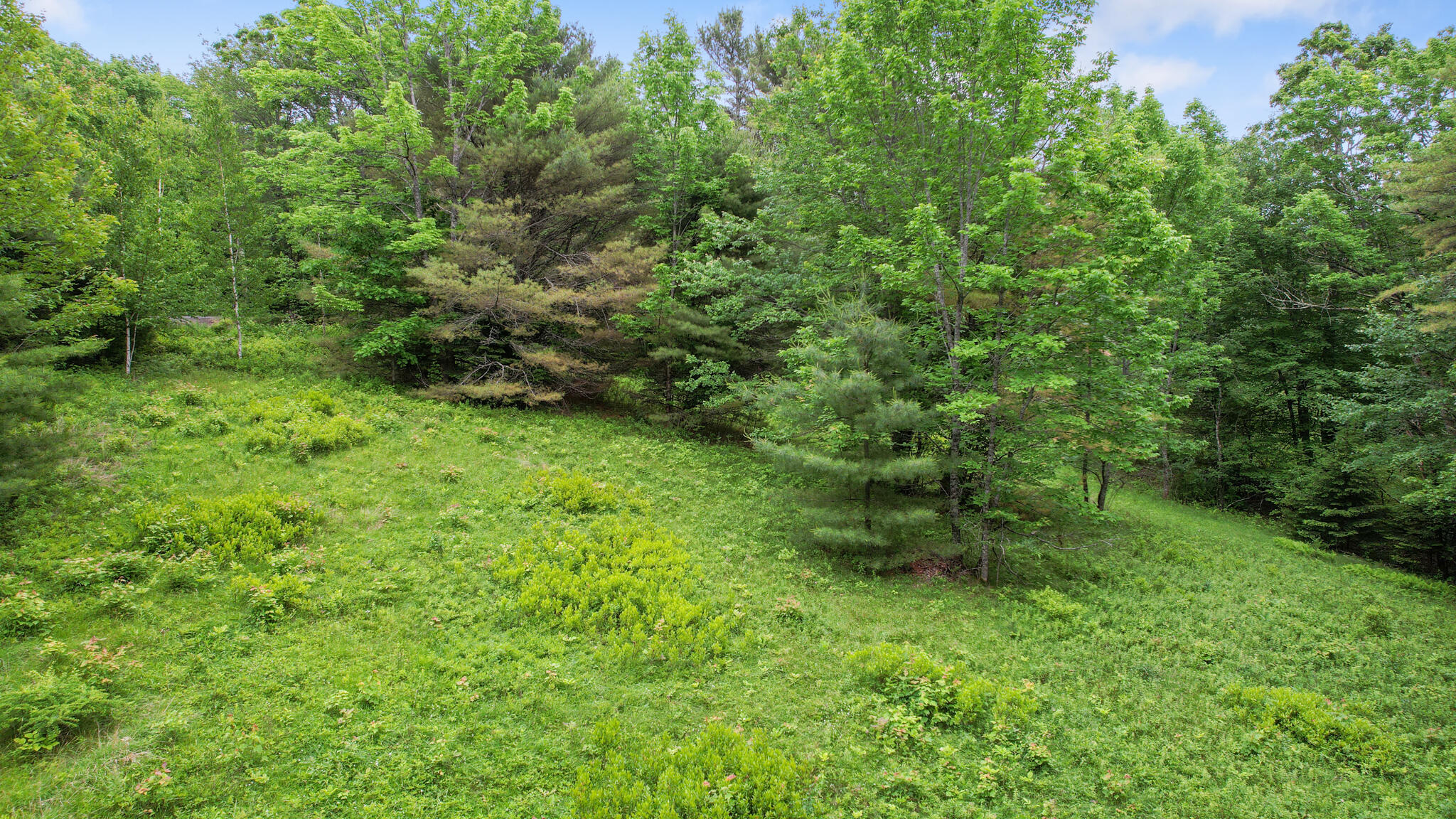 0 Front Ridge Road Orland, ME 04472 - Photo 15 of 18 00 Front Ridge Road, Orland, ME 04472