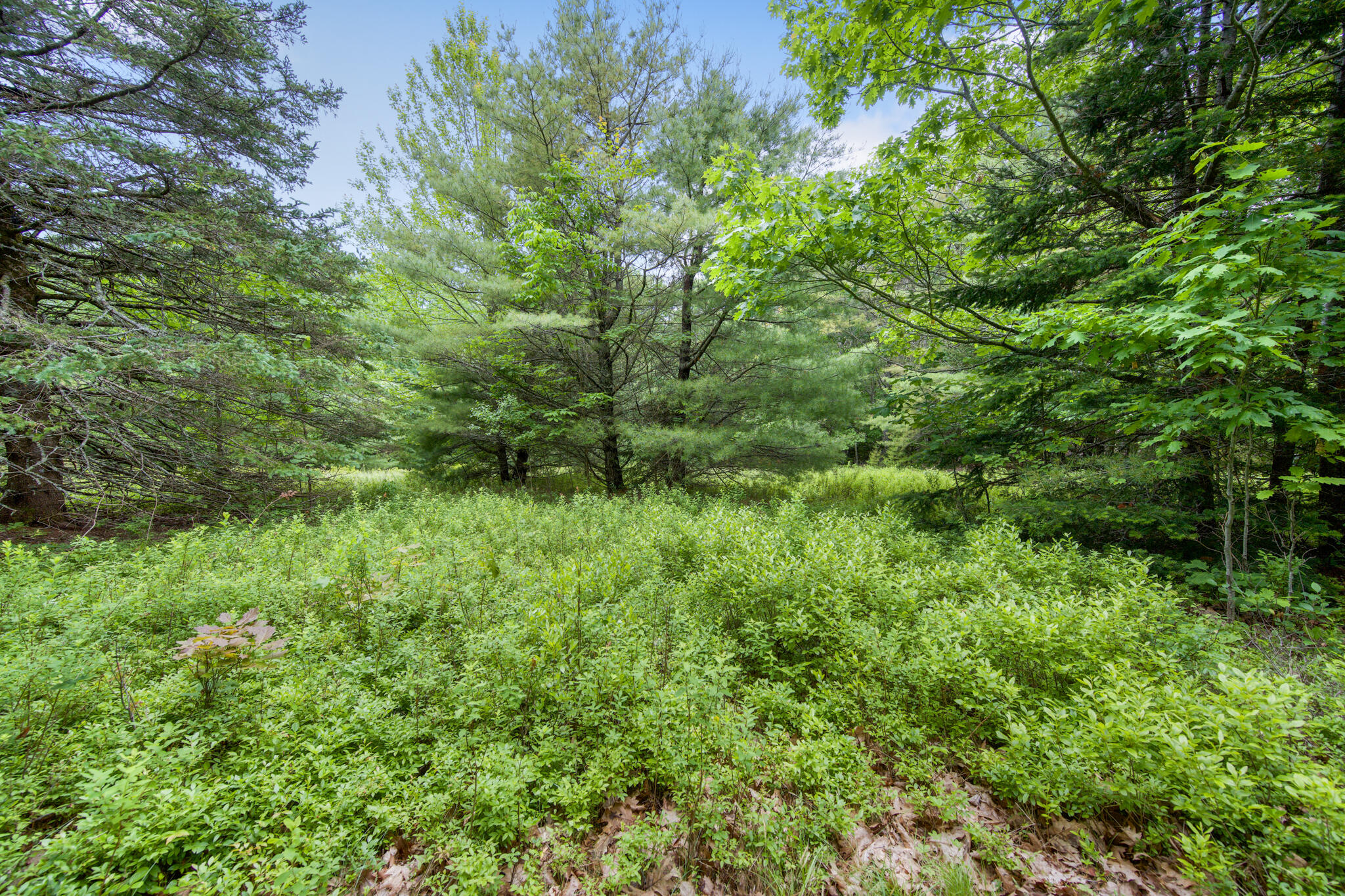 0 Front Ridge Road Orland, ME 04472 - Photo 17 of 18 00 Front Ridge Road, Orland, ME 04472