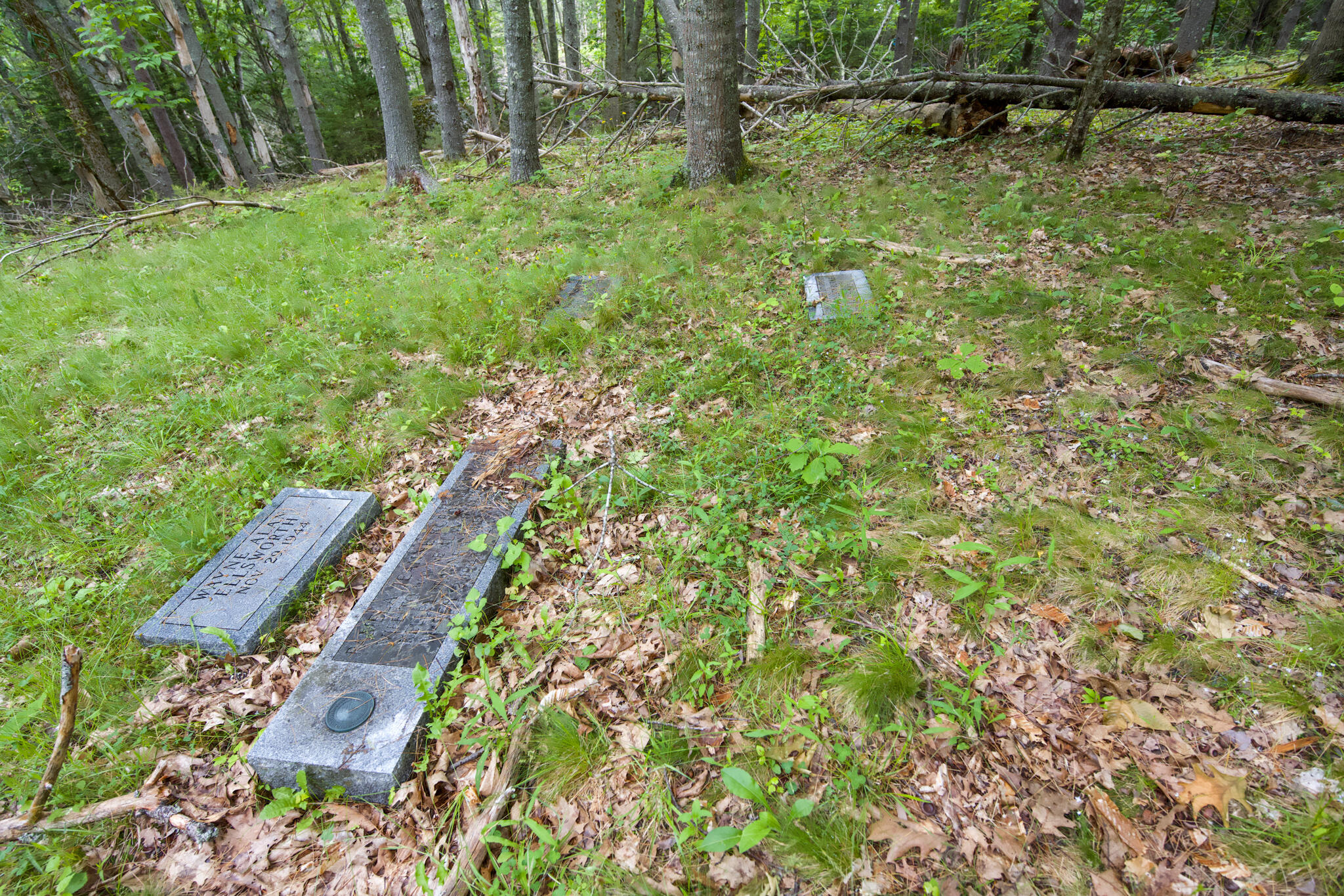 0 Front Ridge Road Orland, ME 04472 - Photo 18 of 18 00 Front Ridge Road, Orland, ME 04472
