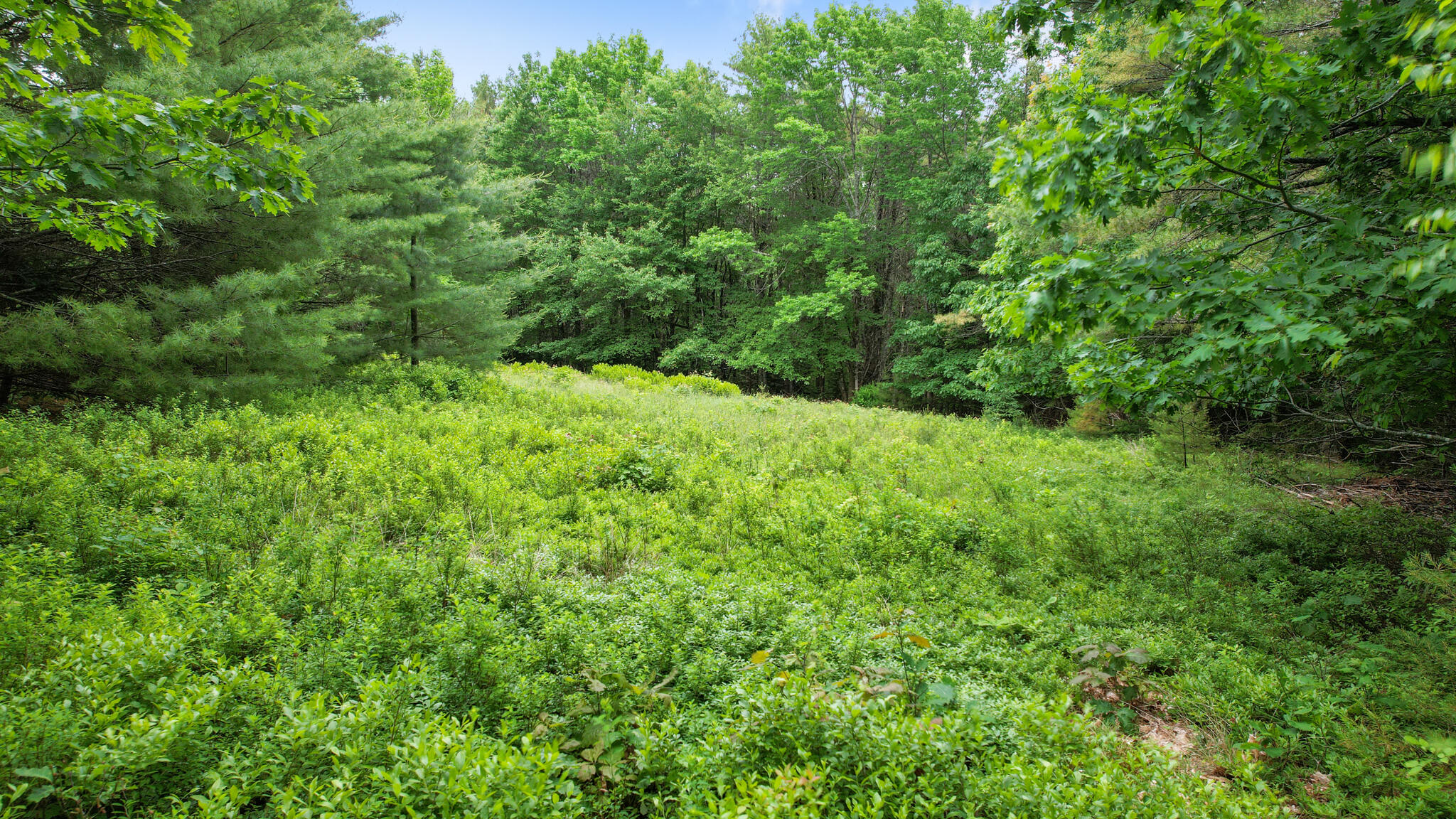 0 Front Ridge Road Orland, ME 04472 - Photo 8 of 18 00 Front Ridge Road, Orland, ME 04472