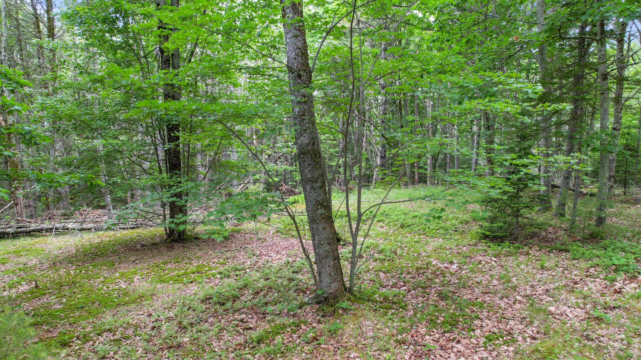 0 Front Ridge Road Orland, ME 04472 - Photo 9 of 18 00 Front Ridge Road, Orland, ME 04472