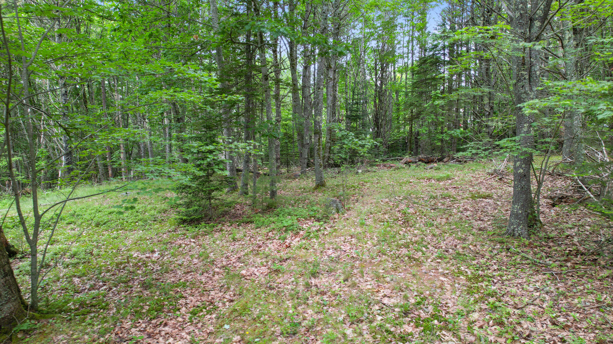 0 Front Ridge Road Orland, ME 04472 - Photo 10 of 18 00 Front Ridge Road, Orland, ME 04472