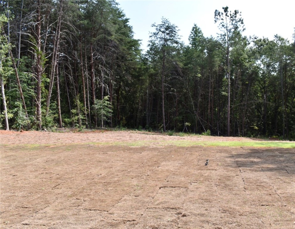 411 Grate Road Anderson, SC 29625 - Photo 10 of 10 Gallery Image 10