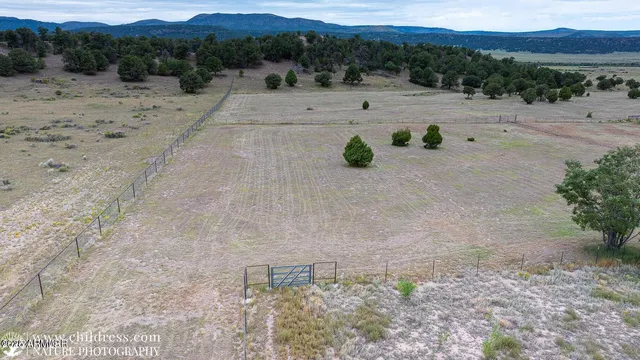 $1,350,000 | 41451 Highway 180, Nutrioso, AZ 85932