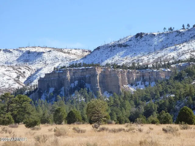 $1,350,000 | 41451 Highway 180, Nutrioso, AZ 85932