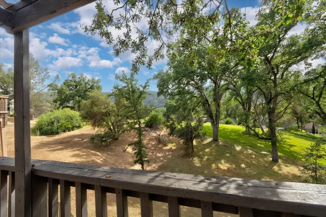 a view of a yard with a tree