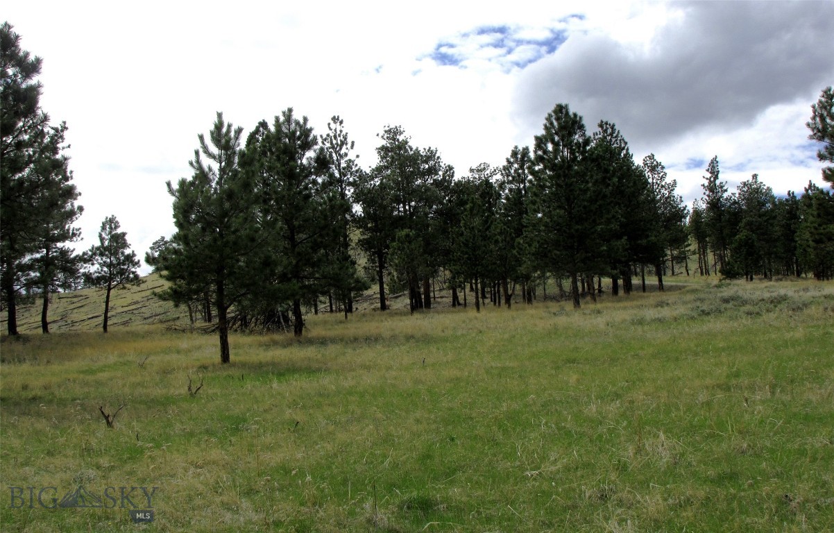 Tbd Tbd Wild Turkey Ridge Road Columbus, MT 59019 - Photo 5 of 55 Gallery Image 5