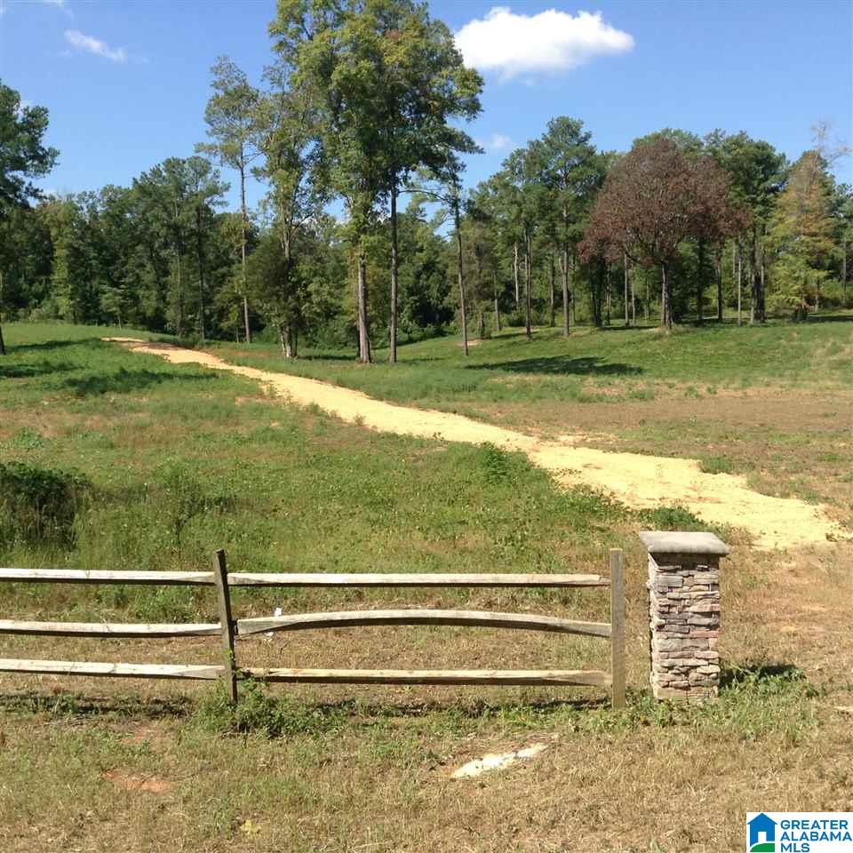 19 Highway Montevallo Al Montevallo, AL 35115 - Photo 5 of 9