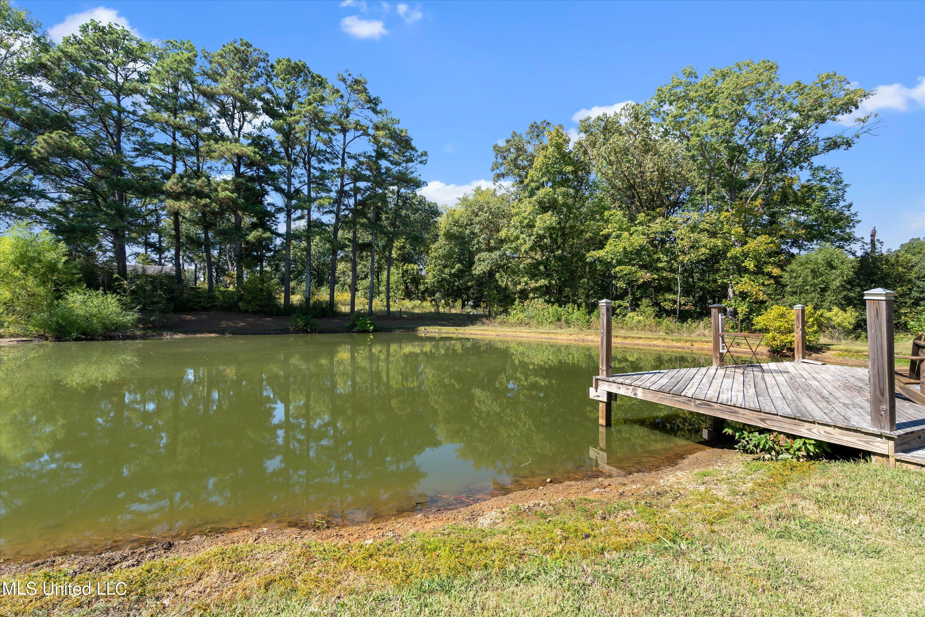 3140 Holly Springs Road Hernando, MS 38632 - Photo 54 of 60 54-Pond