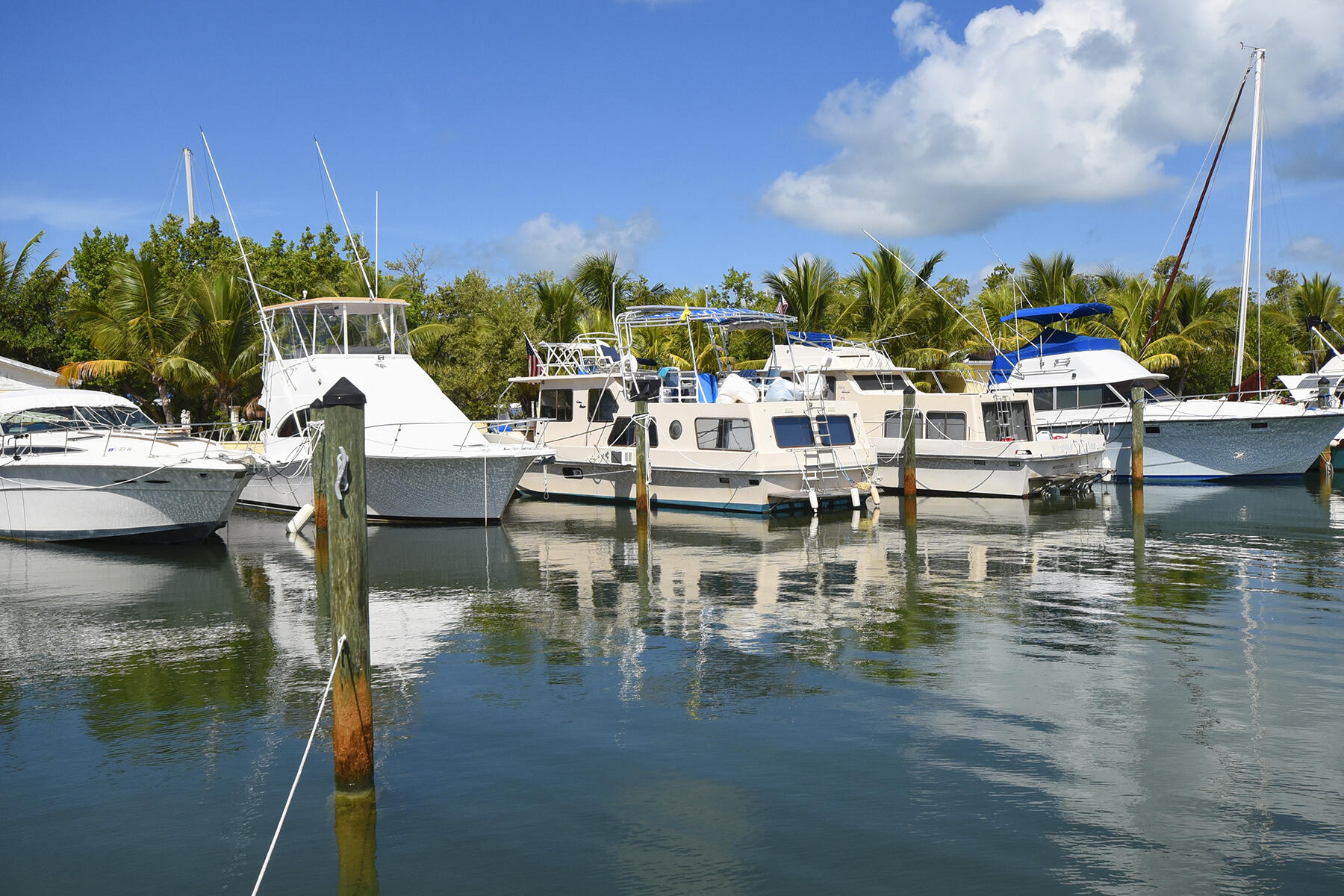 96 Madeira Road, Unit 10 Islamorada, FL 33036 - Photo 9 of 10 Marina