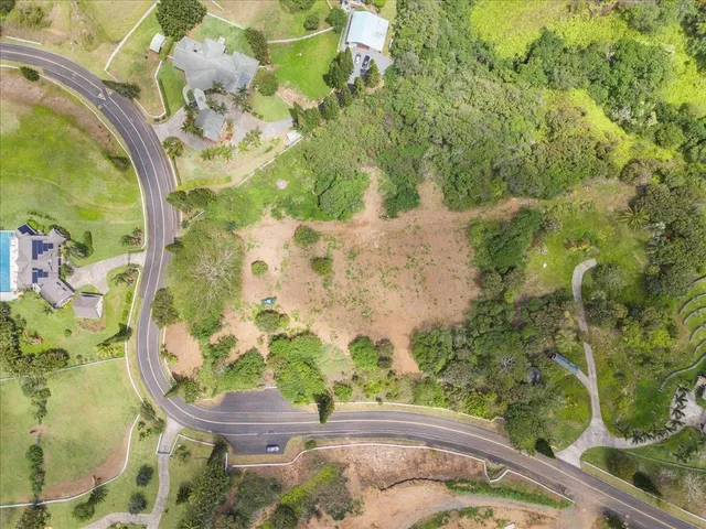 a view of a yard with plants and trees