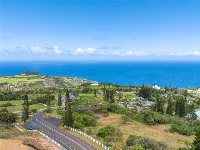 a view of a yard with plants and large trees