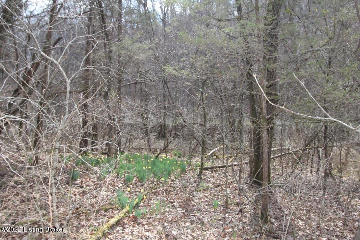 2001 Ashby Road Lawrenceburg, KY 40342 - Photo 11 of 17 IMG_4027 (Medium)