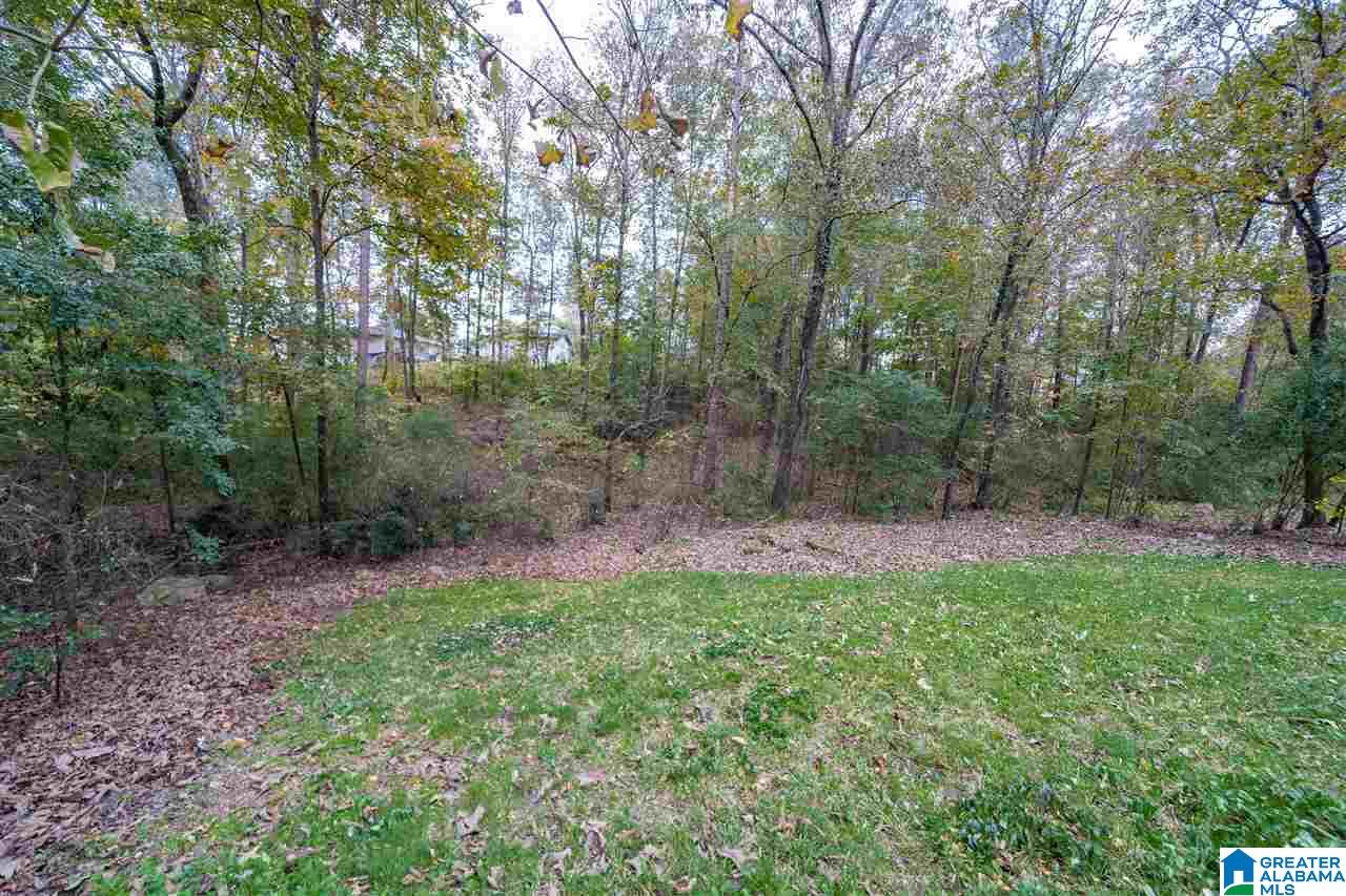 5184 Colonial Park Road Birmingham, AL 35242 - Photo 28 of 32