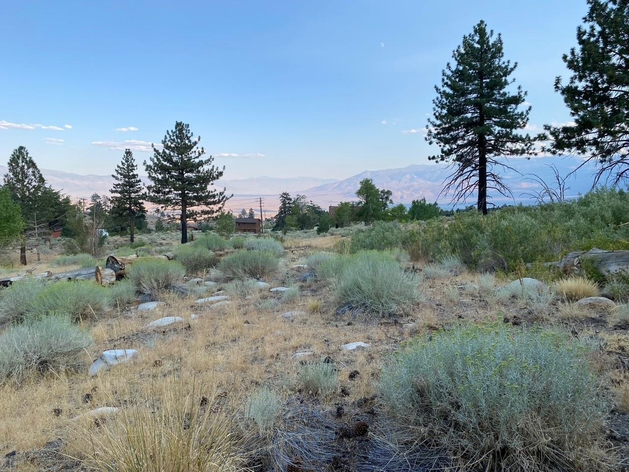 Lot #7 Swall Meadows Road Bishop, CA 93514 - Photo 3 of 17 Gallery Image 3
