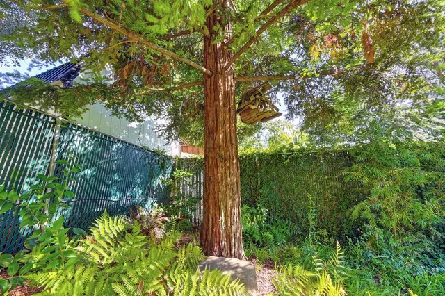 $1,499,950 | 274 Huntley Avenue, Auburn, CA 95603