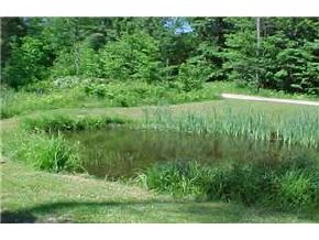393 Center Road Goshen, NH 03752 - Photo 4 of 5